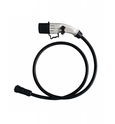Cablu adaptor Type 2 la LLT